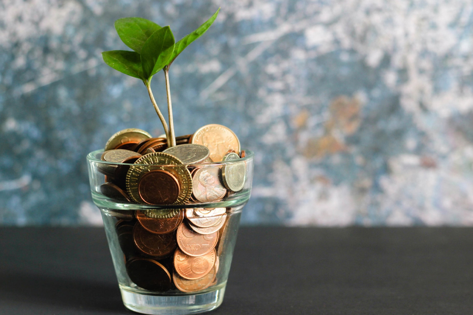 Factors To Consider When Choosing An Investment Option